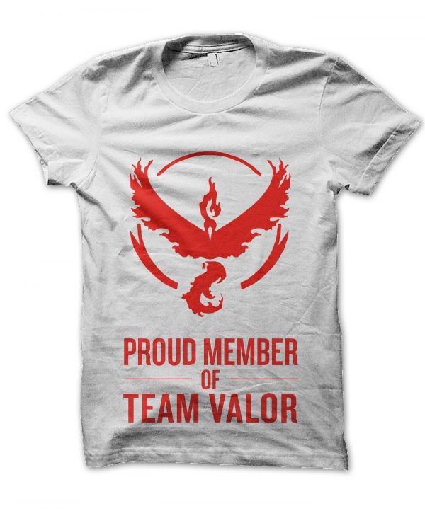 Proud Member of Team Valor t-shirt by Clique Wear