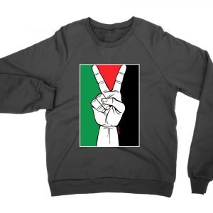 Palestine Peace in Gaza jumper (sweatshirt)