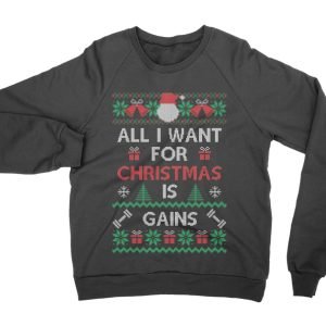 All I Want For Christmas is Gains jumper (sweatshirt)