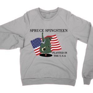 Spruce Springsteen jumper (sweatshirt)