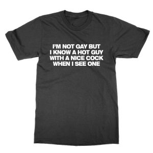 I’m Not Gay But I Know a Hot Guy With a Nice Cock When I See One T-Shirt