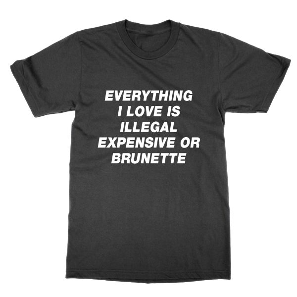 Everything I Love is Illegal Expensive or Brunette t-shirt by Clique Wear